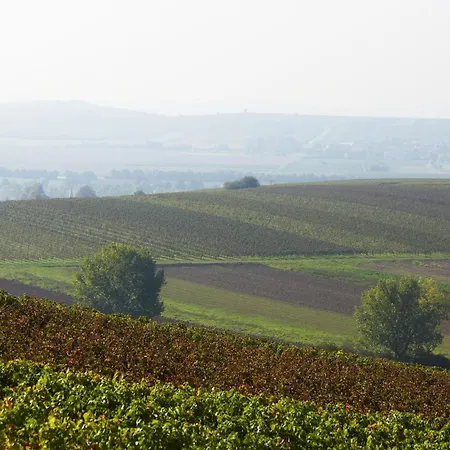 Appartement Im Weingut Huff-doll *