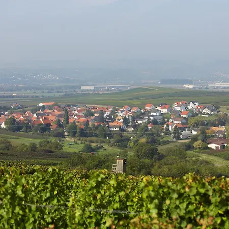 Appartement Im Weingut Huff-doll