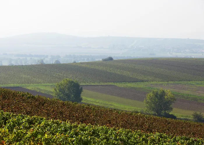 Апартаменты Im Weingut Huff-doll *