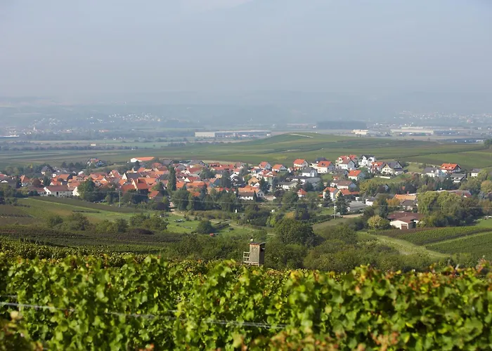 Апартаменты Im Weingut Huff-doll